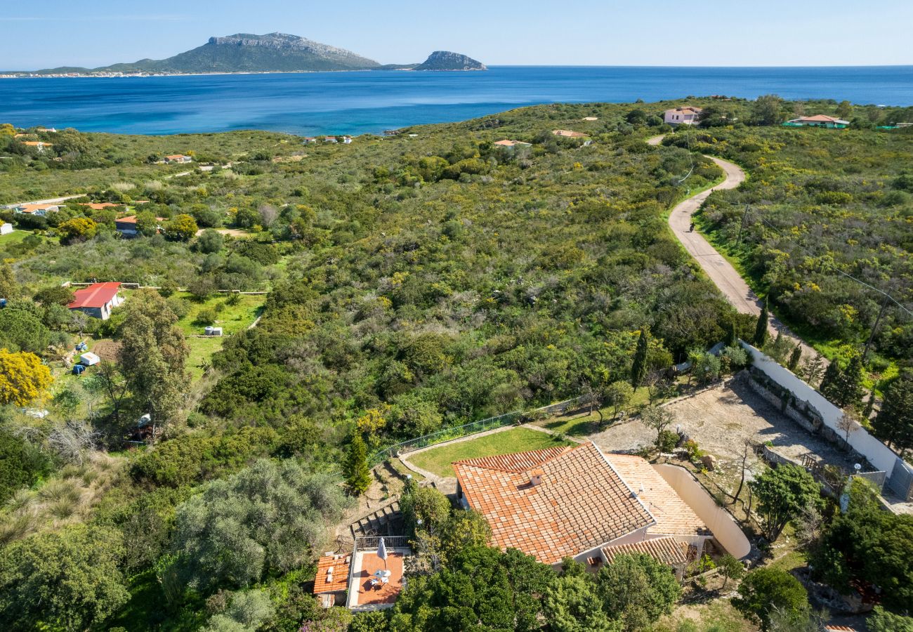 Villa in Golfo Aranci - Villa Picker - typisches Haus mit Blick auf Golfo Aranci