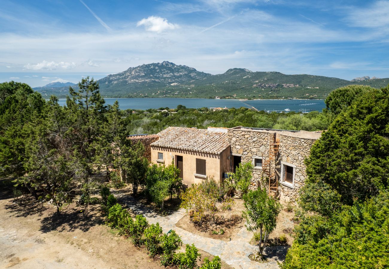 Ferienwohnung in Porto Rotondo - Caletta 53 - Wohnung am Meer mit Pool und Tennisplatz