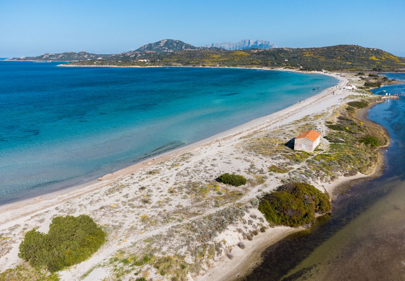 Ferienwohnung in Olbia - Myrsine Mara by Klodge - Appartement de plage Marina Maria avec vue mer