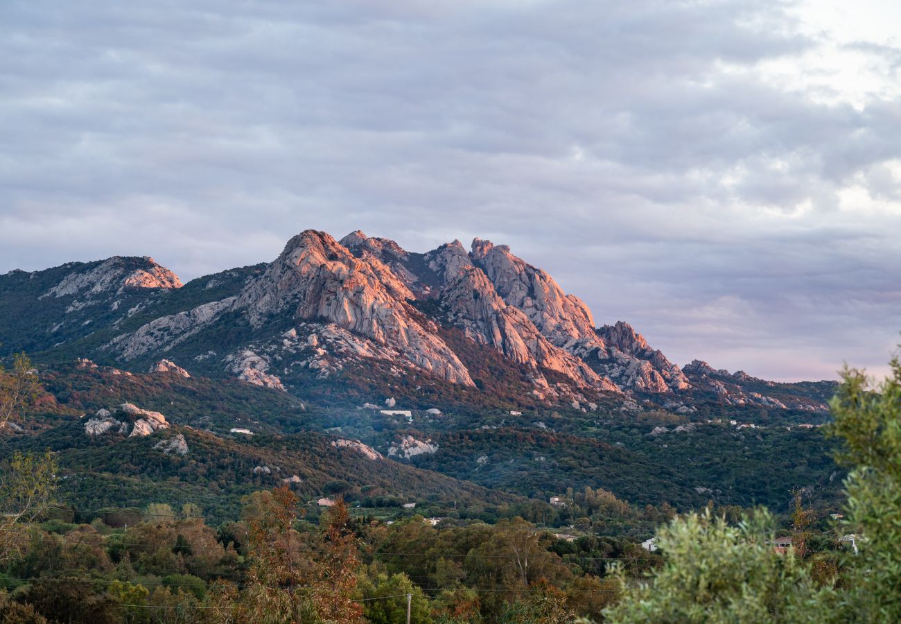 Villa Zenith - Villa mit Pool und atemberaubendem Blick, Ferienvermietung in Costa Smeralda, Sardinien