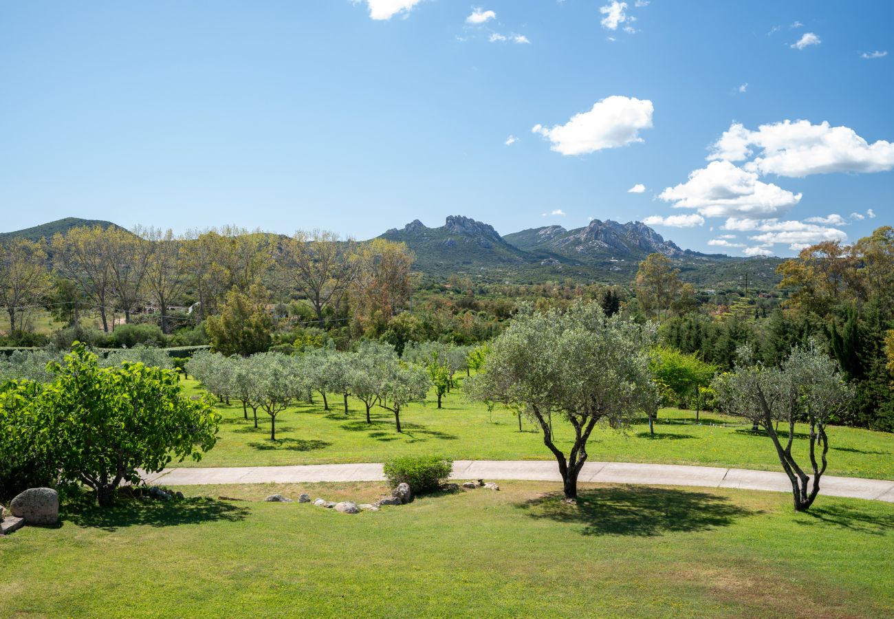 Villa Zenith - Luxusvilla mit Garten und privatem Pool in Costa Smeralda, Urlaub in Sardinien