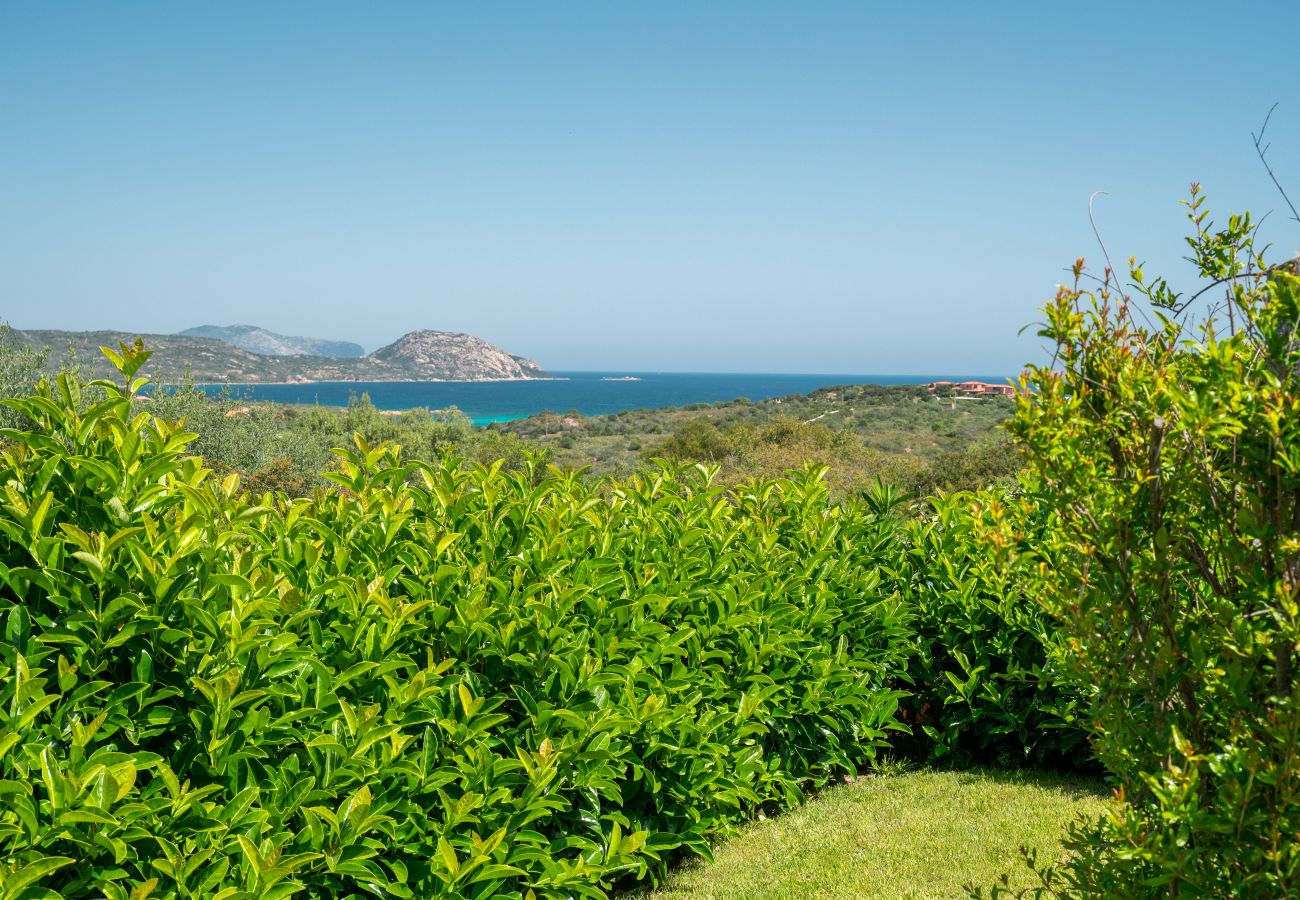 Ferienwohnung in Porto San Paolo - Il Poggio 8 – Wohnung mit Gemeinschaftspool und Garten