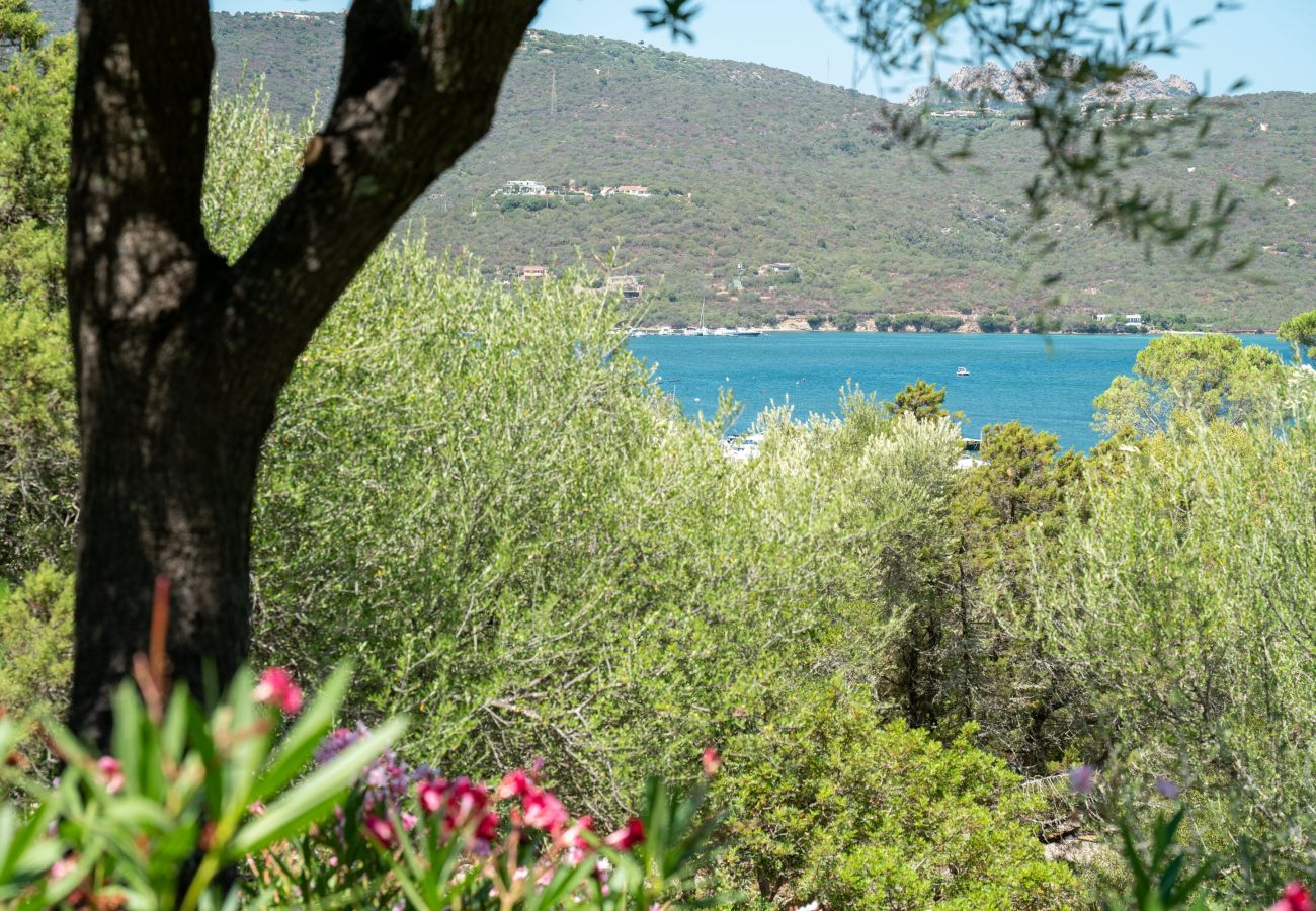 Ferienwohnung in Porto Rotondo - Caletta Nest 88 - Ferienwohnung mit Pool und Aussicht