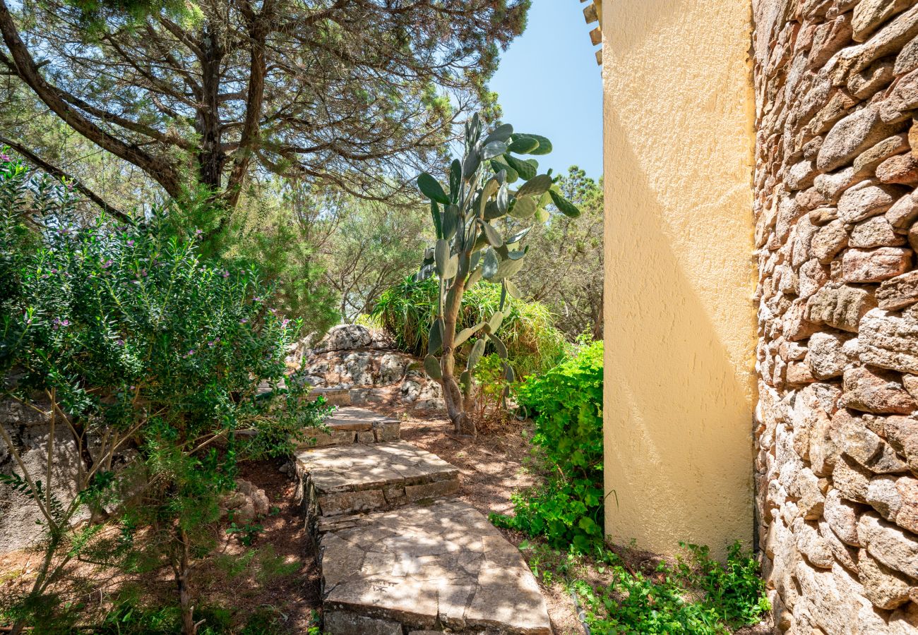 Ferienwohnung in Porto Rotondo - Caletta Nest 88 - Ferienwohnung mit Pool und Aussicht