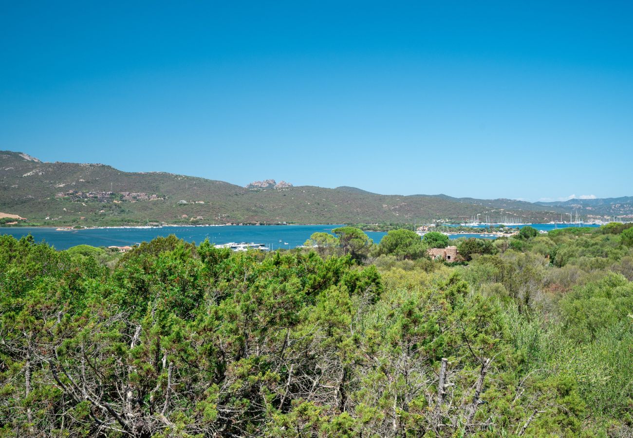 Ferienwohnung in Porto Rotondo - Caletta Nest 88 - Ferienwohnung mit Pool und Aussicht