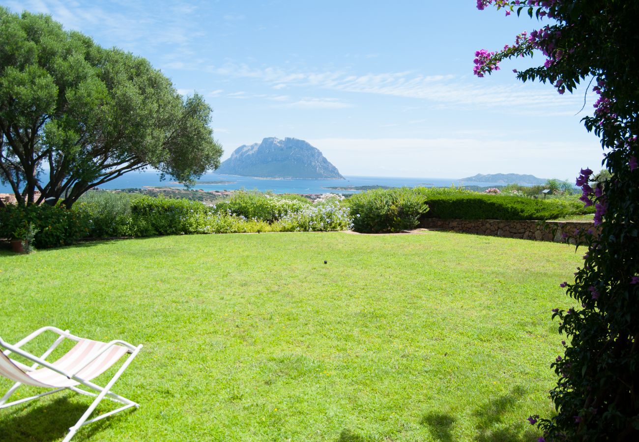 Villa Alberto - garden with green lawn and view of Tavolara in rental villa in Monte Contros