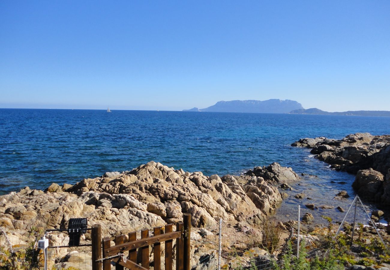 Villa Miriam - rental villa with direct sea access in Pittulongu, perfect for holidays in Sardinia