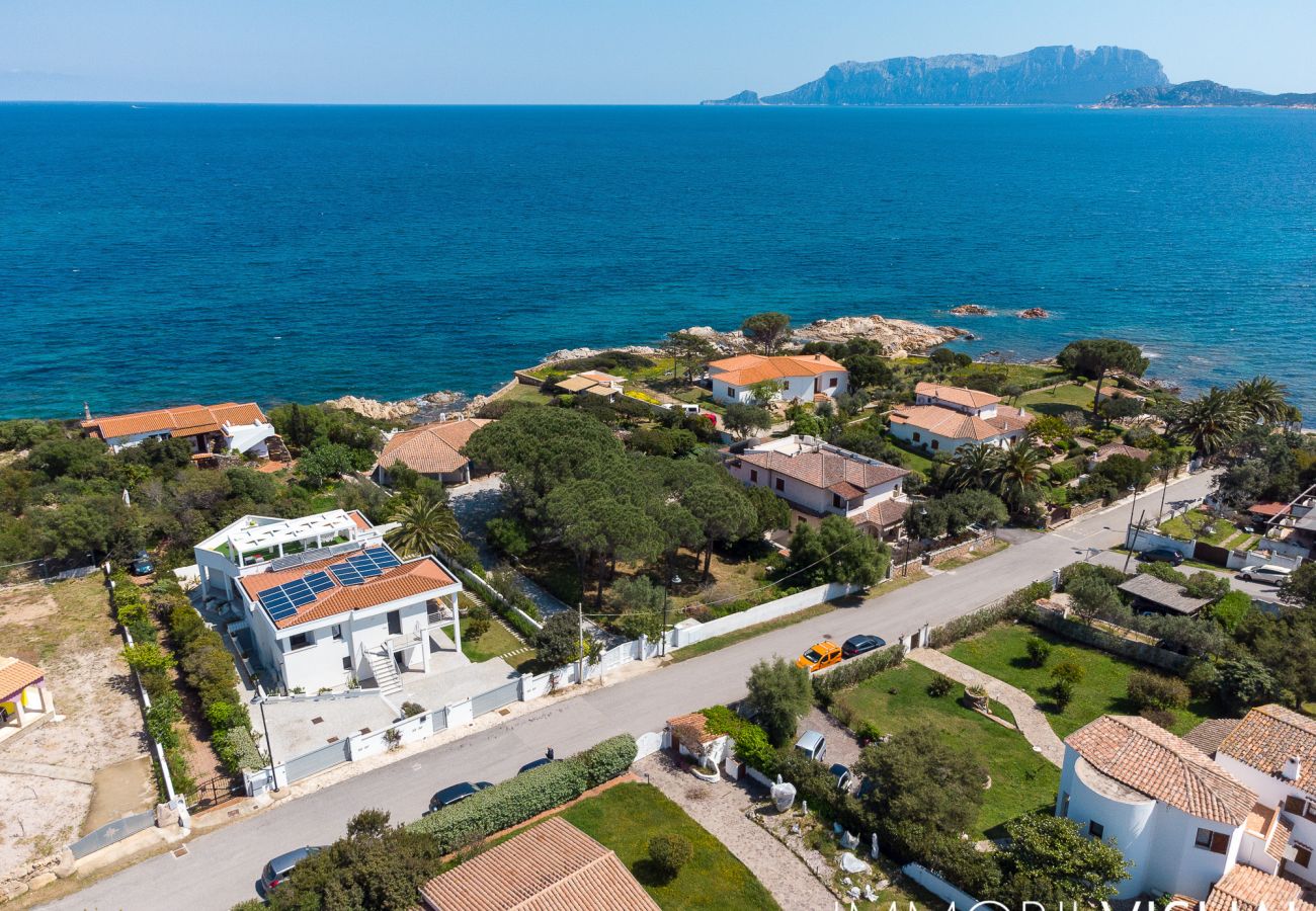 WLofts 14 - Stay in an exclusive villa in Sardinia, holiday home with Klodge services