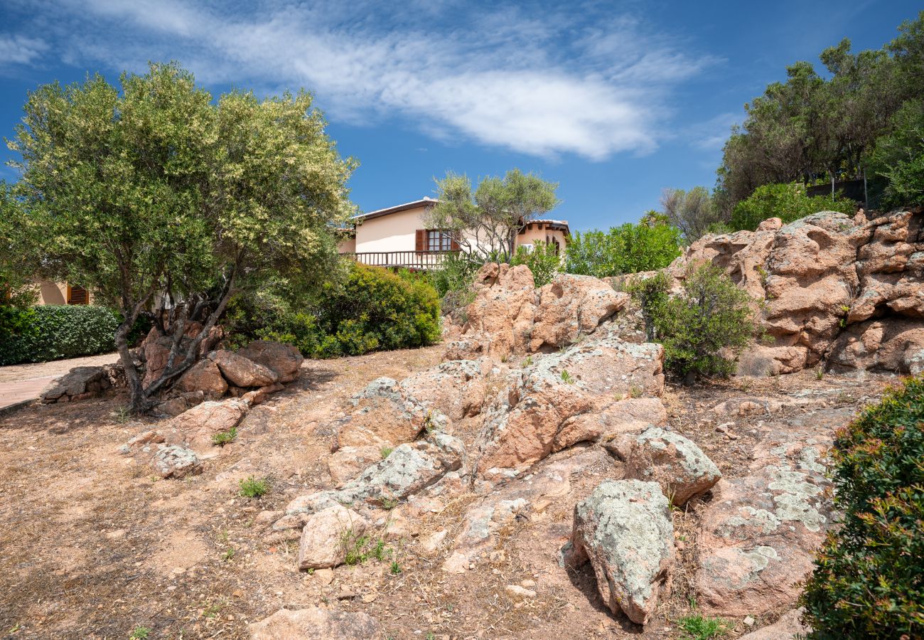 Villa in Porto San Paolo - Villa Kiki - infinity pool overlooking Tavolara