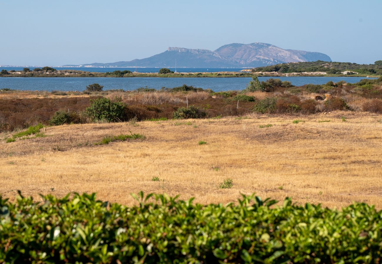 Apartment in Olbia -  Myrsine Stella - modern flat facing the bay