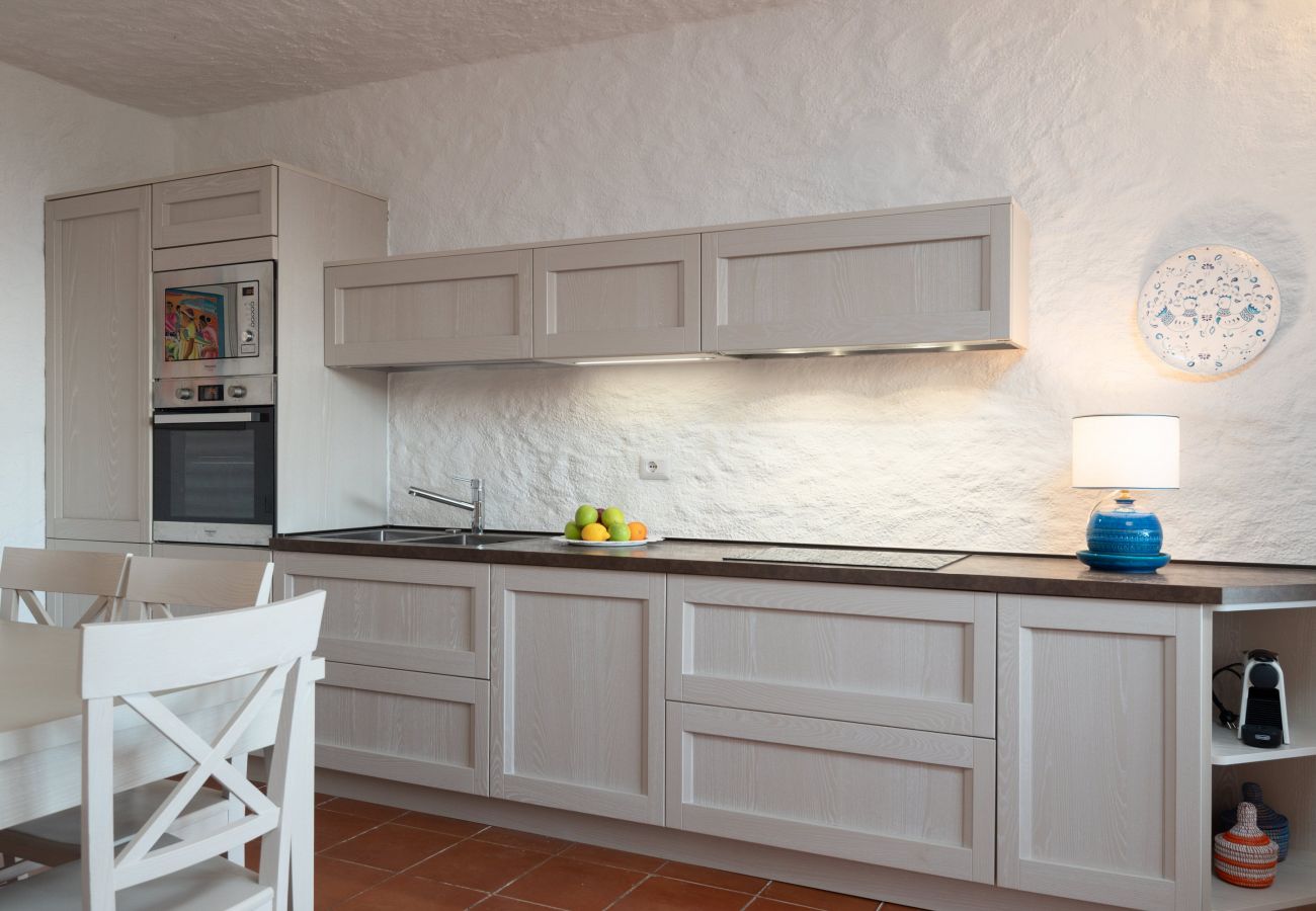 Villa Linda - modern kitchen with high-quality appliances, rental villa in Sardinia