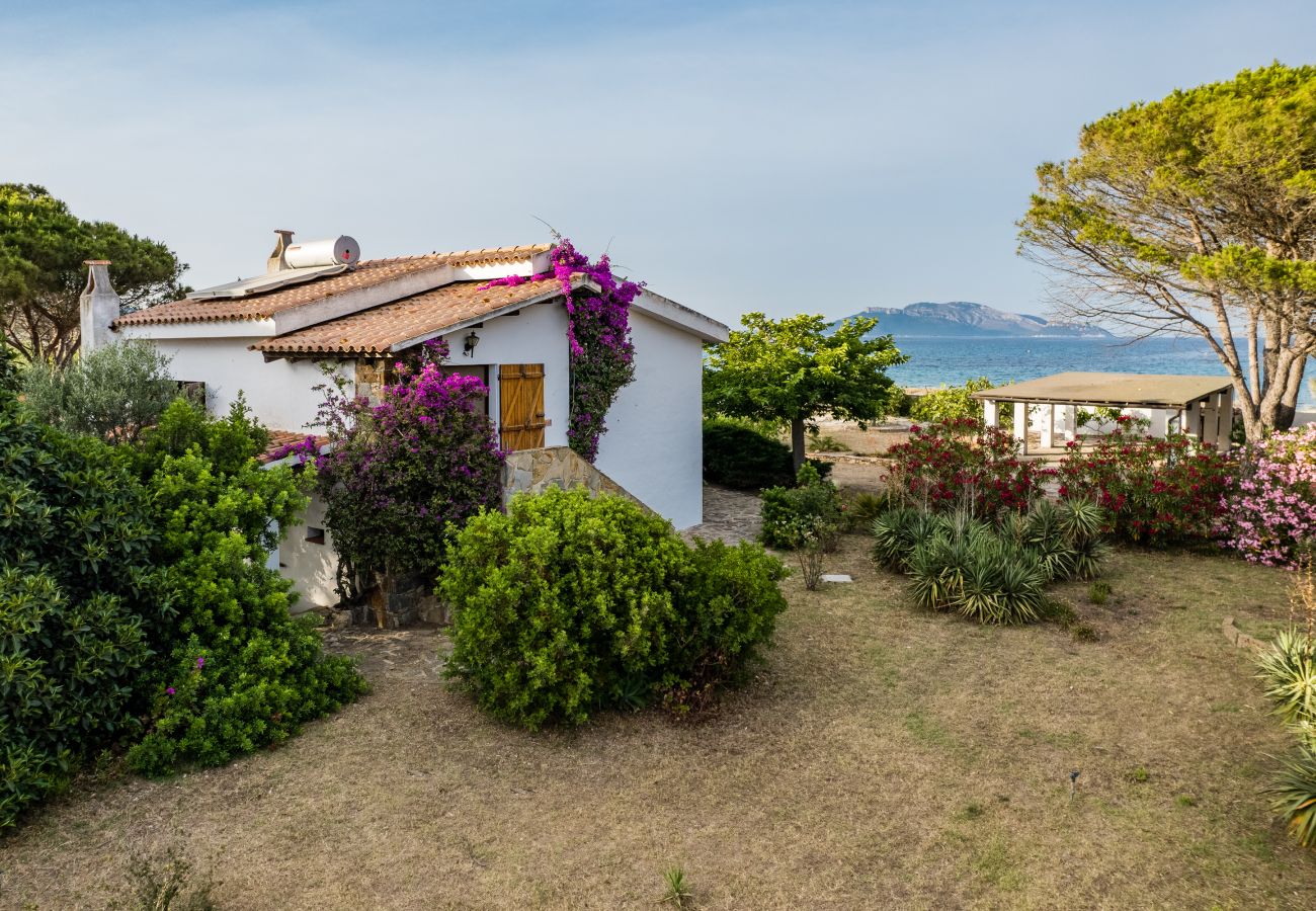 Villa Bay Pine - villa with sea view and direct beach access on the east coast of Sardinia