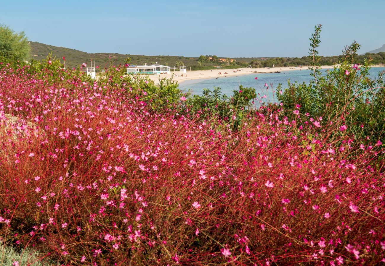 Villa Azul - sea view garden in holiday home in Olbia managed by Klodge