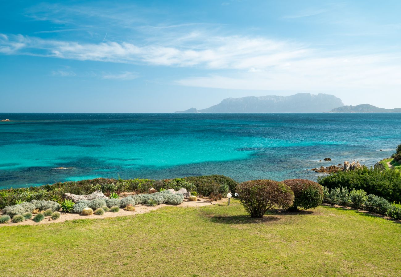 Villa Azul - garden with green lawn and sea view in rental villa in Sardinia