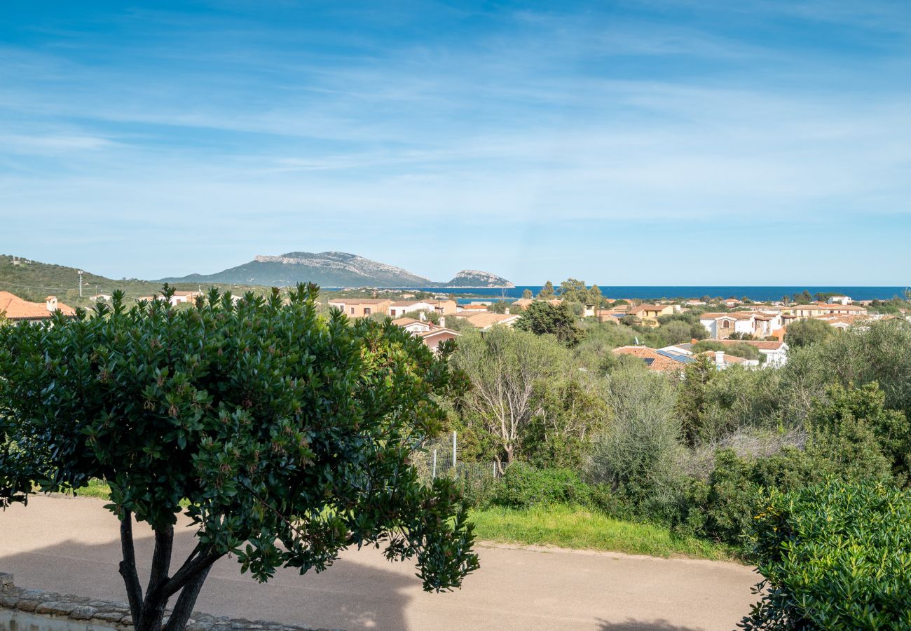 Apartment in Olbia - Sea Shell 17 - Island View Retreat 