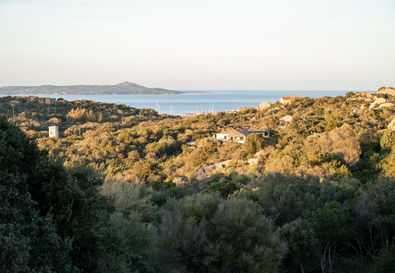 Apartment in Porto Rotondo - I Lecci 1 - seaview and nature in Porto Rotondo