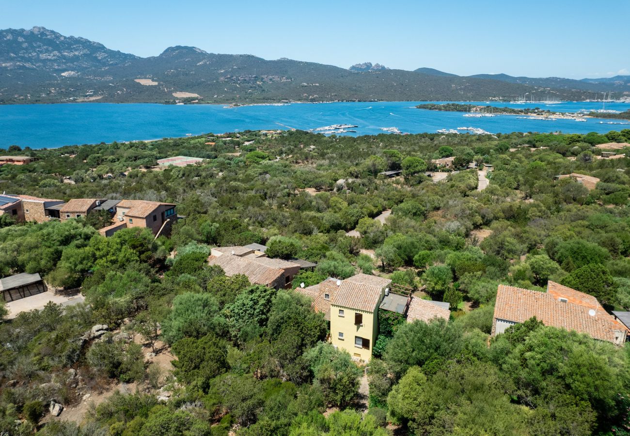 Apartment in Porto Rotondo - Caletta Nest 88 - holiday flat with pool and view