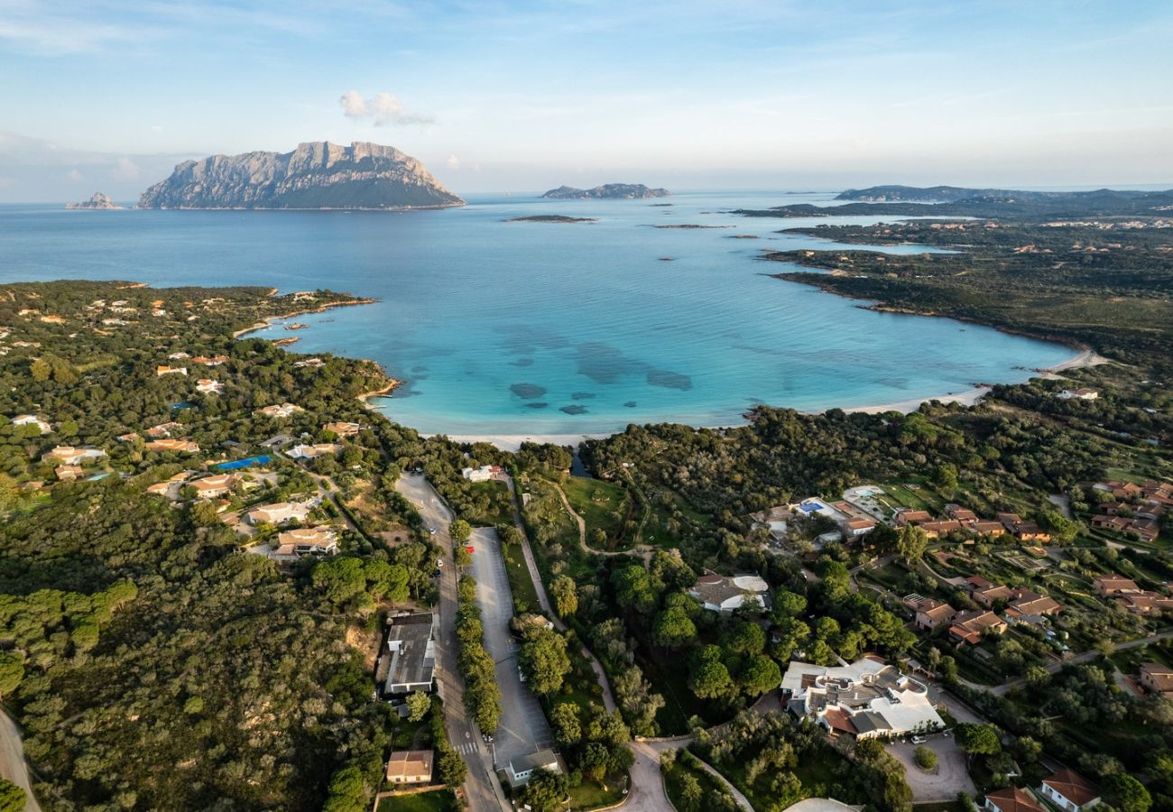 Villa in Olbia - Villa Aurazure